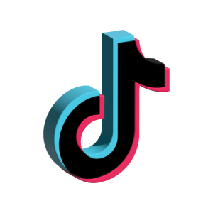 TikTok Views 1 1K TikTok Views