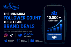 Professional digital marketing illustration showing follower growth metrics, brand partnership opportunities, social proof, influencer monetization, and audience growth strategy for securing sponsorship deals.